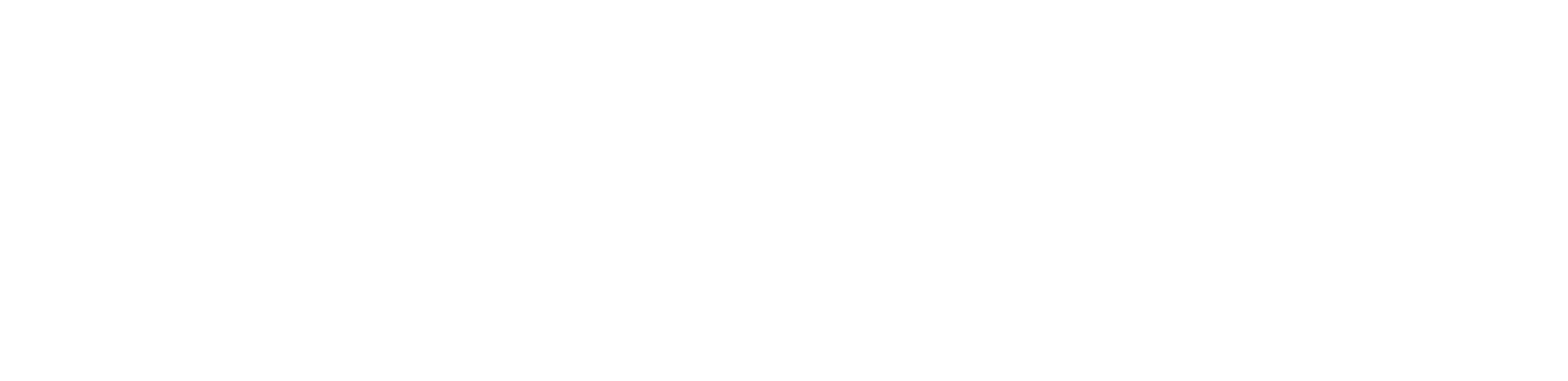 Visit Finland